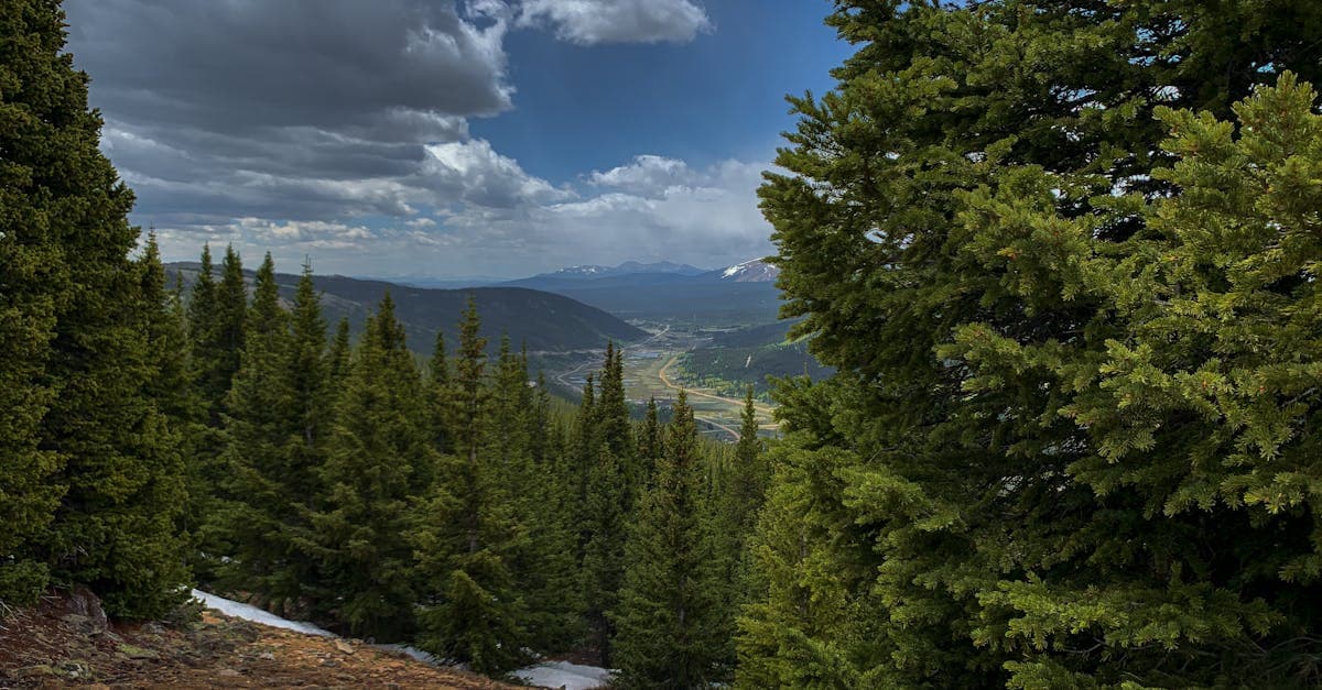 Hiking Animas Mountain: Durango's Backyard Trail