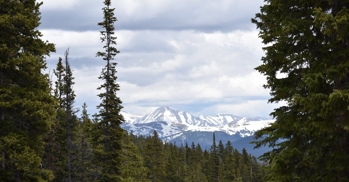 Skip Black Friday: Go Skiing Instead