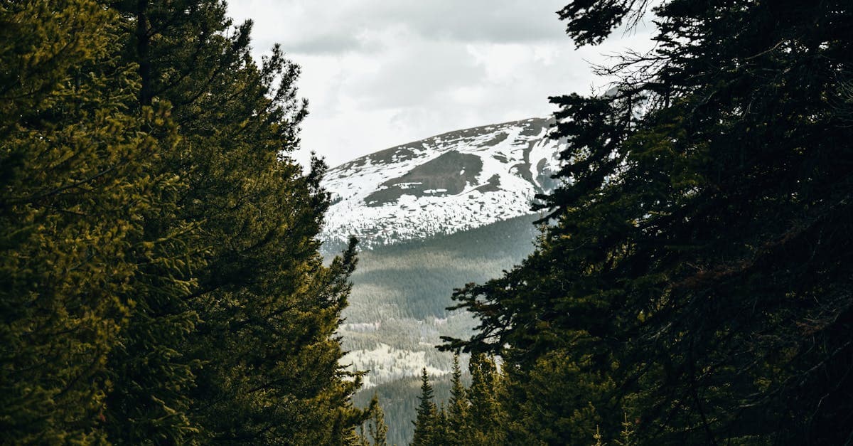 Durango Bluegrass Meltdown: Tunes and Trails