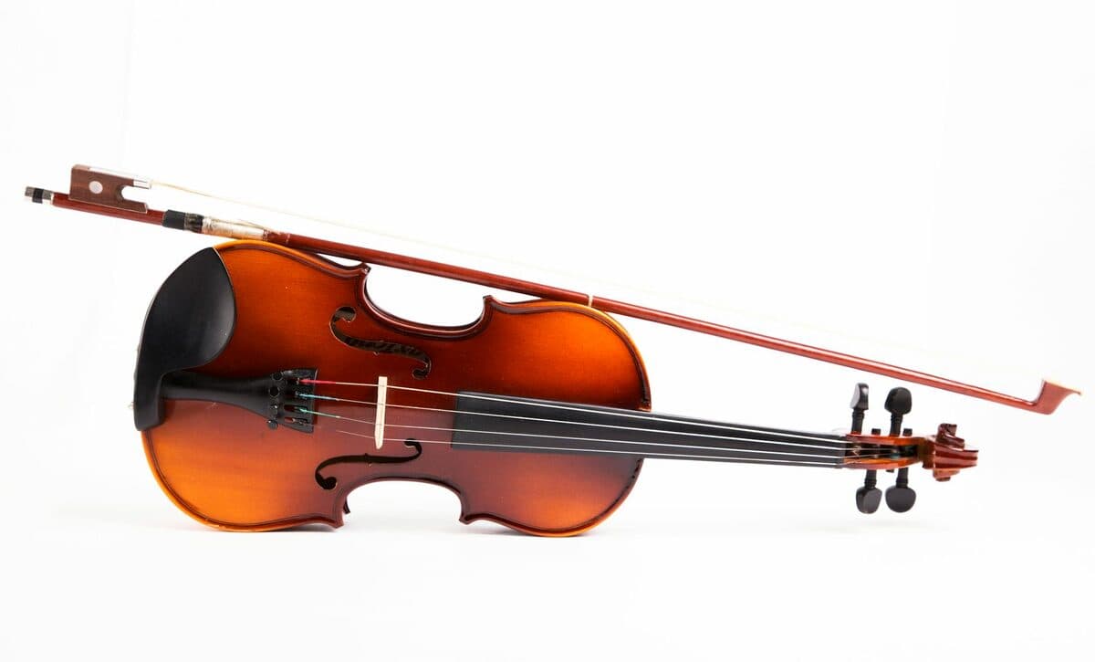 Durango Bluegrass Meltdown: Tunes, Trails, and Mountain Town Magic