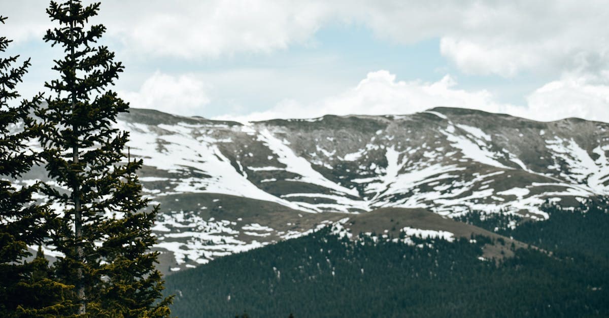 The Durango Summer Bucket List: 15 Things You Can't Miss