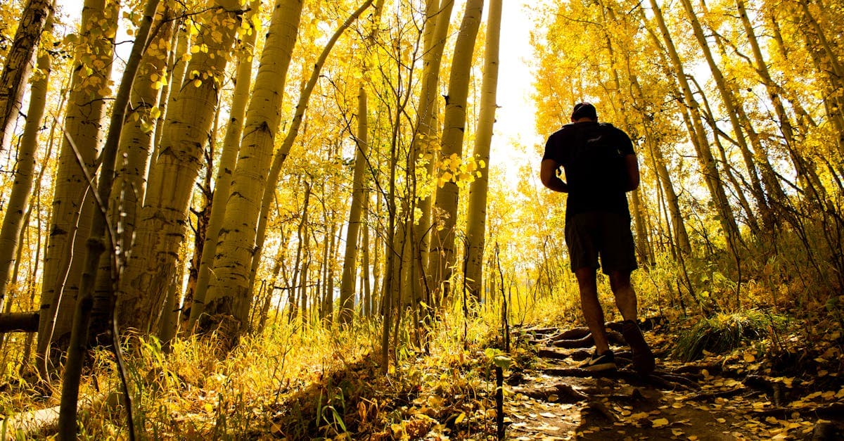 Fall Foliage 2025: Peak Color Predictions for Durango