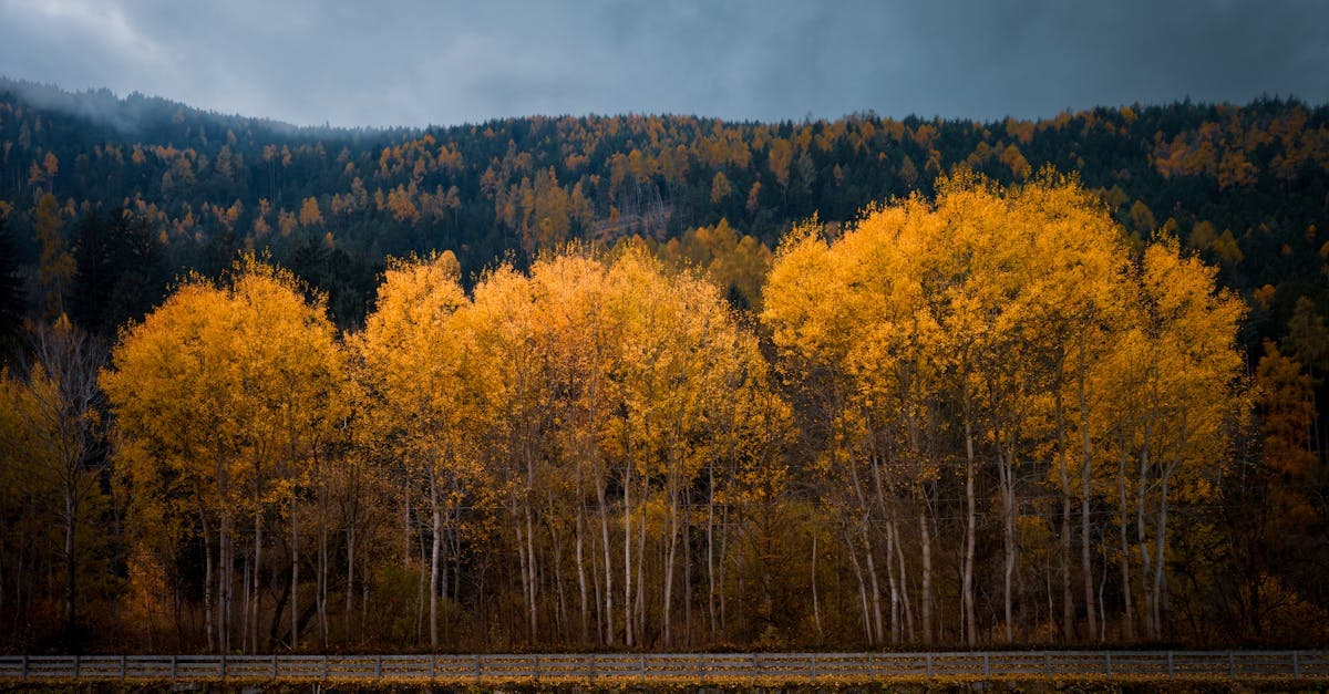 Kennebec Pass: The Fall Drive Nobody Talks About