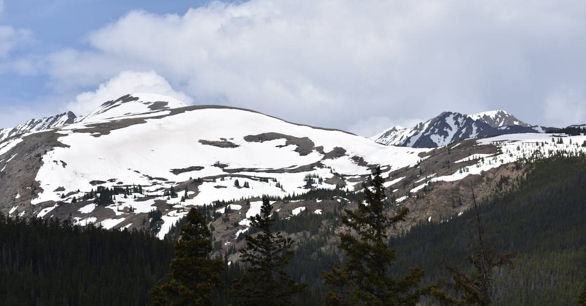 Music in the Mountains: Durango's Summer Concert Series